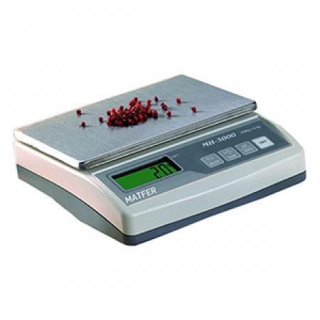 ELECTRONIC SCALE MODEL MMI 300